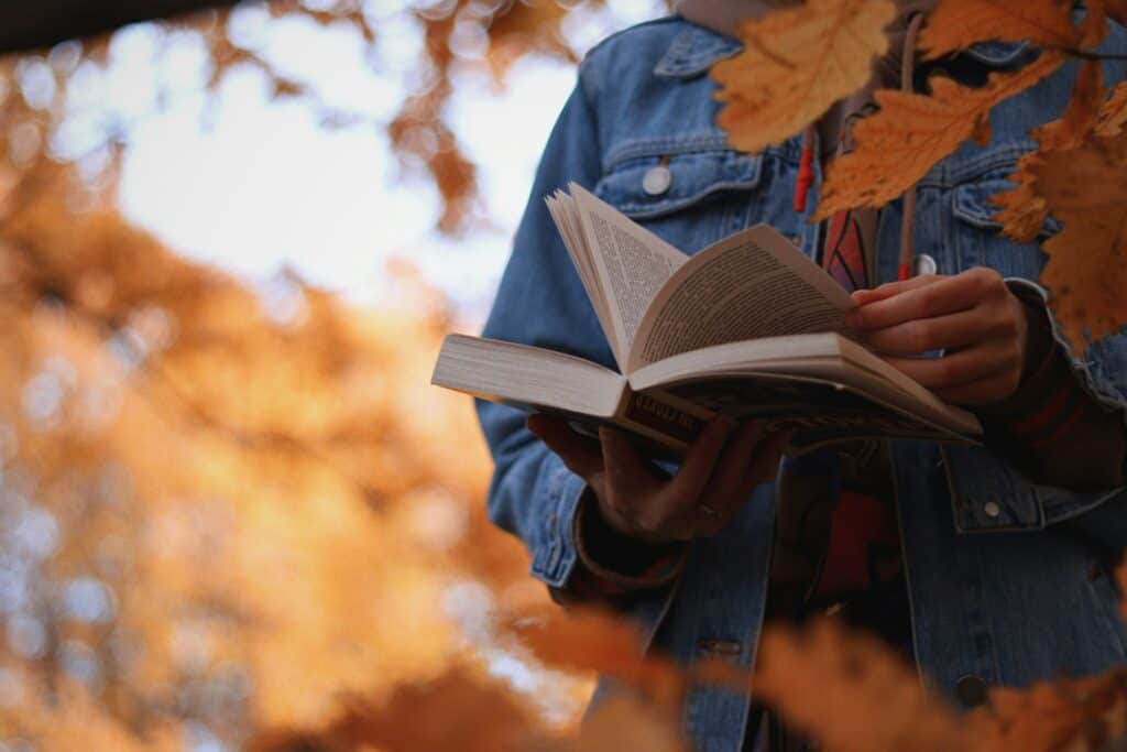10 books set in Minnesota to read before the year ends