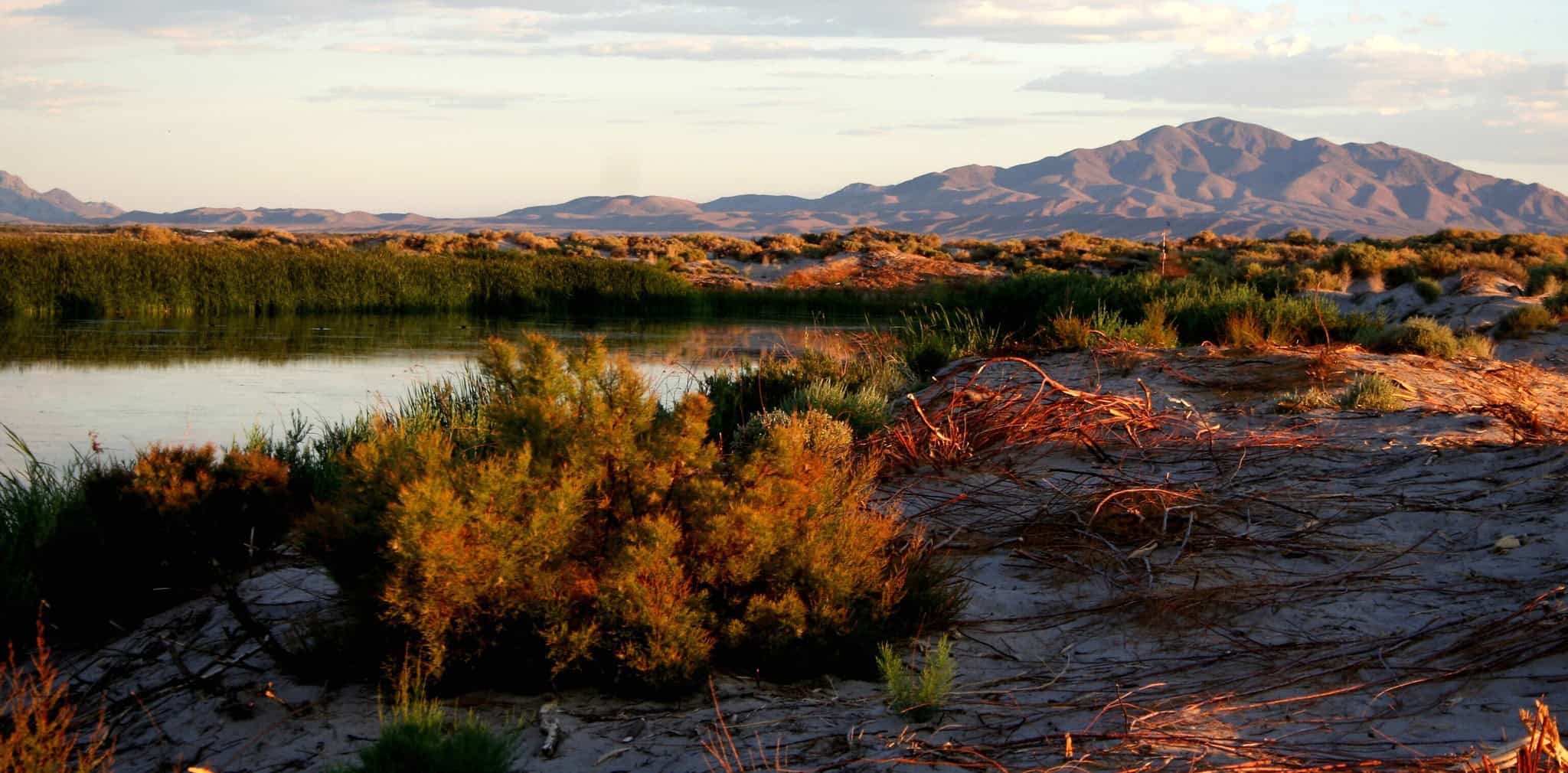 Mojave Desert day trips from Las Vegas: 7 places for hiking, lakes, & red rock