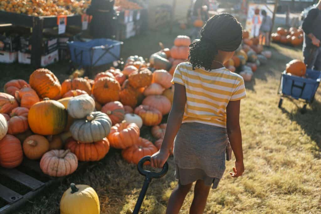 9 things to do in Western Wisconsin this month
