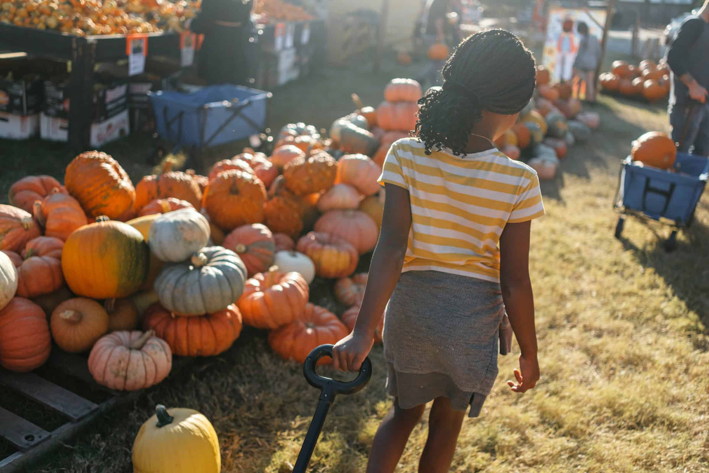 9 things to do in Western Wisconsin this month