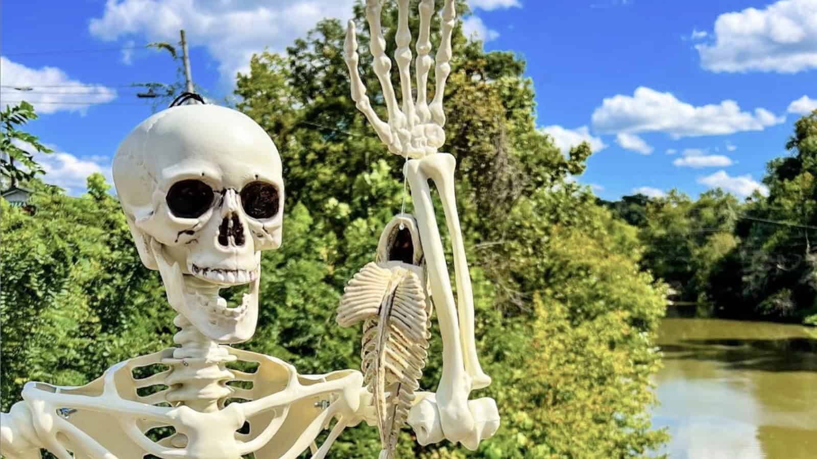 9 things to do in central and northern Kentucky in October